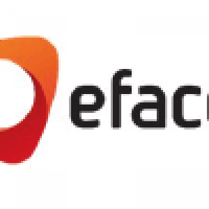 logo efacec