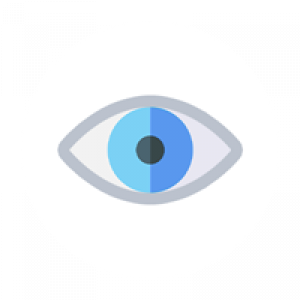 Maximizar la Eficiencia Operativa